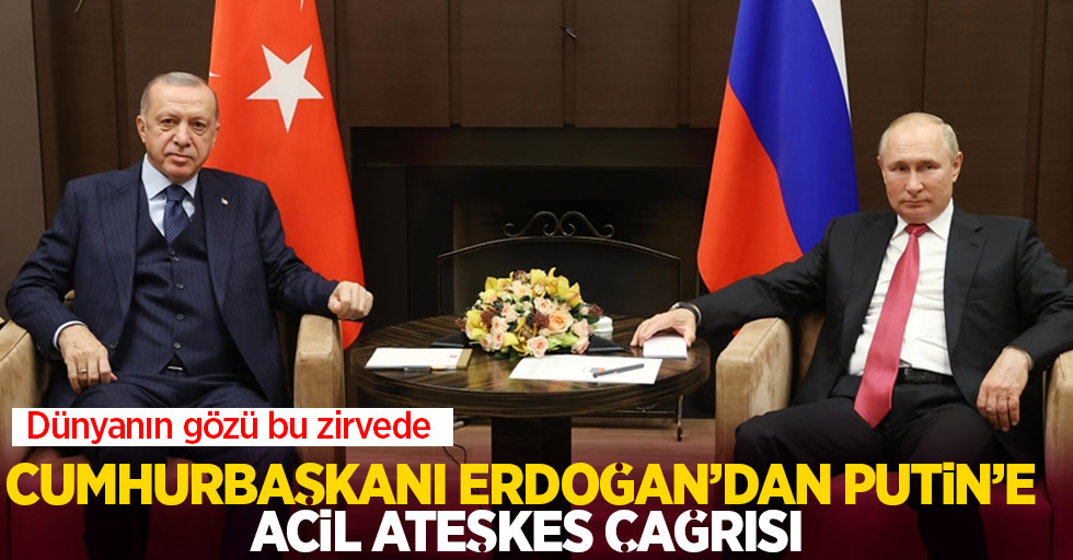 Putin'le görüşen Cumhurbaşkanı Erdoğan barış çağrısını yineledi