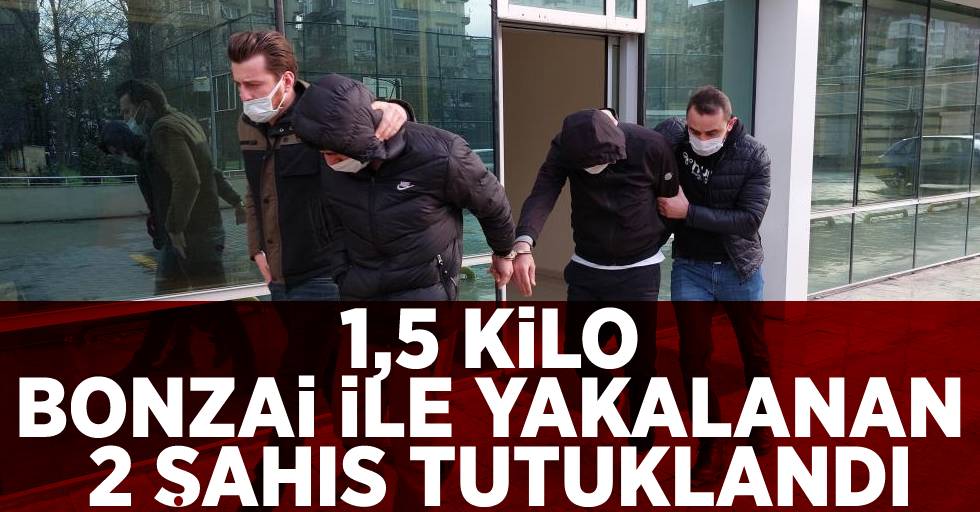 Samsun'da 1,5 Kilo Bonzai Yakalatan İki Kişi Tutuklandı