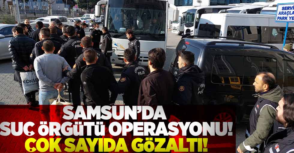 Samsun'da Suç Örgütü Operasyonu! Çok Sayıda Gözaltı!