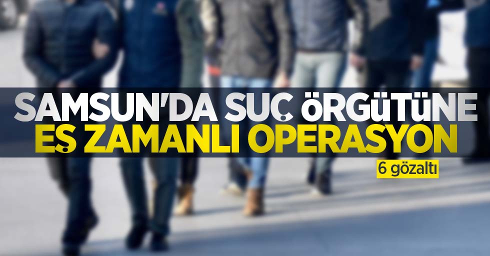 Samsun'da suç örgütüne eş zamanlı operasyon: 6 gözaltı
