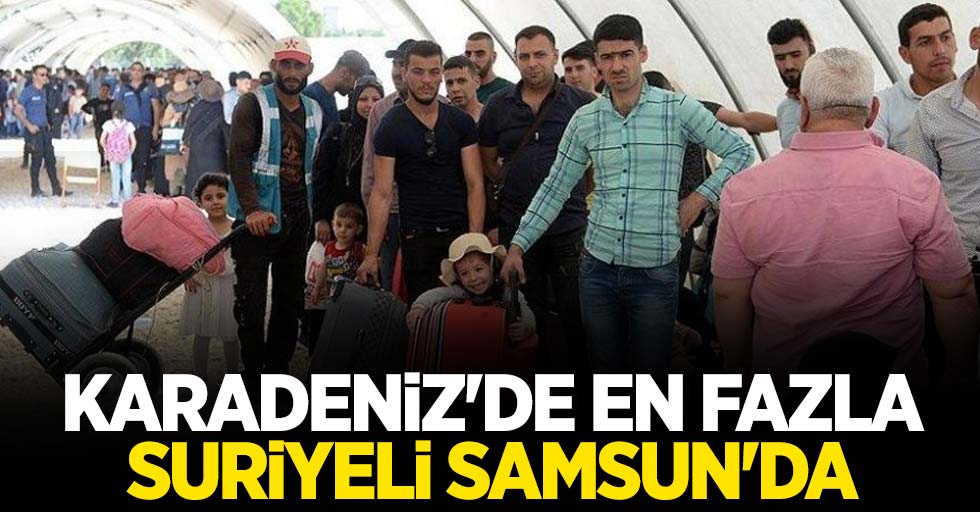 Karadeniz'de en fazla Suriyeli Samsun'da 