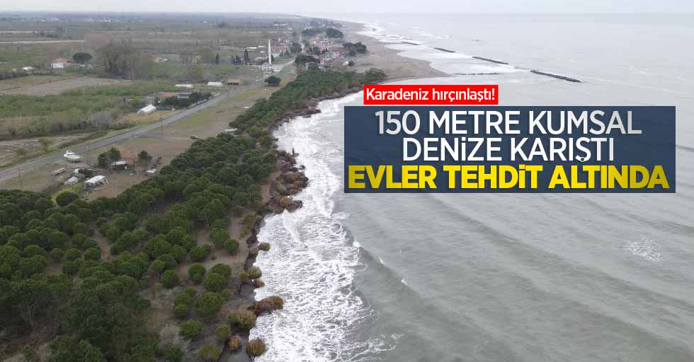 Karadeniz hırçınlaştı! 150 metre kumsal denize karıştı, evler tehdit altında