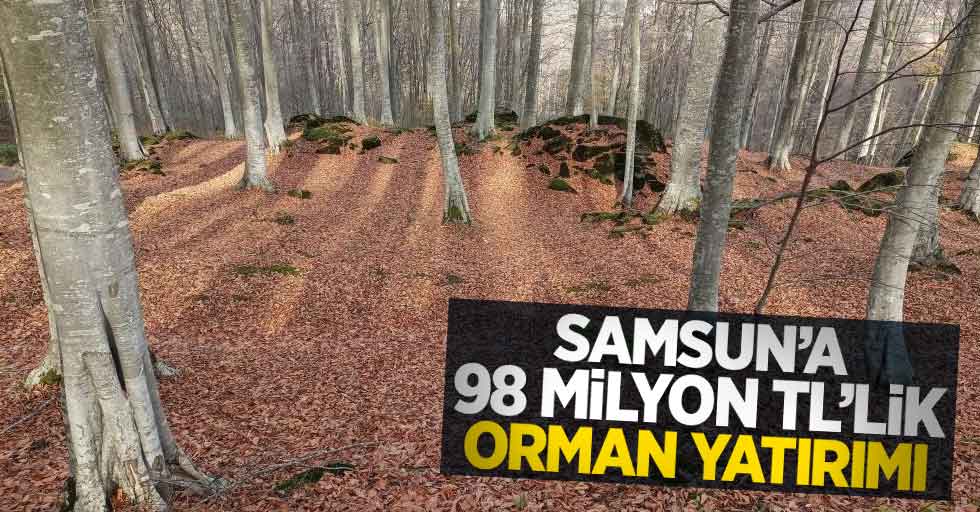 Samsun'a 98 milyon TL'lik orman yatırımı