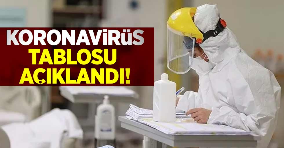 17 Mayıs Koronavirüs Vaka Tablosu Açıklandı!