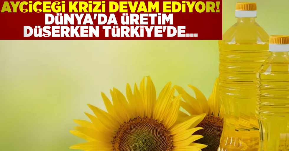 Ayçiçek Yağı Krizi Devam Ediyor! Dünyada Üretim Düşerken Türkiye'de ...