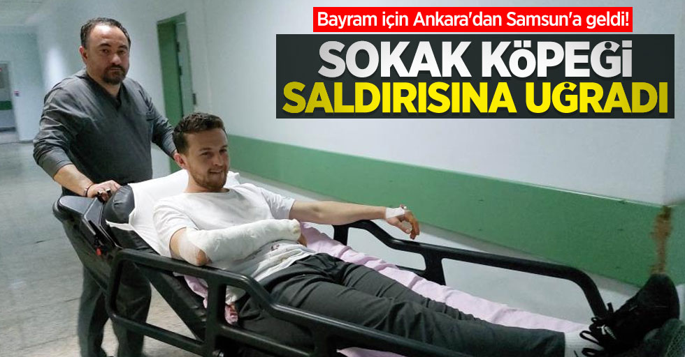 Bayram için Ankara'dan Samsun'a geldi! Sokak köpeği saldırısına uğradı