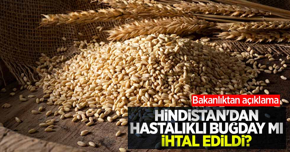 Hindistan'dan hastalıklı buğday mı ithal edildi? Bakanlıktan açıklama