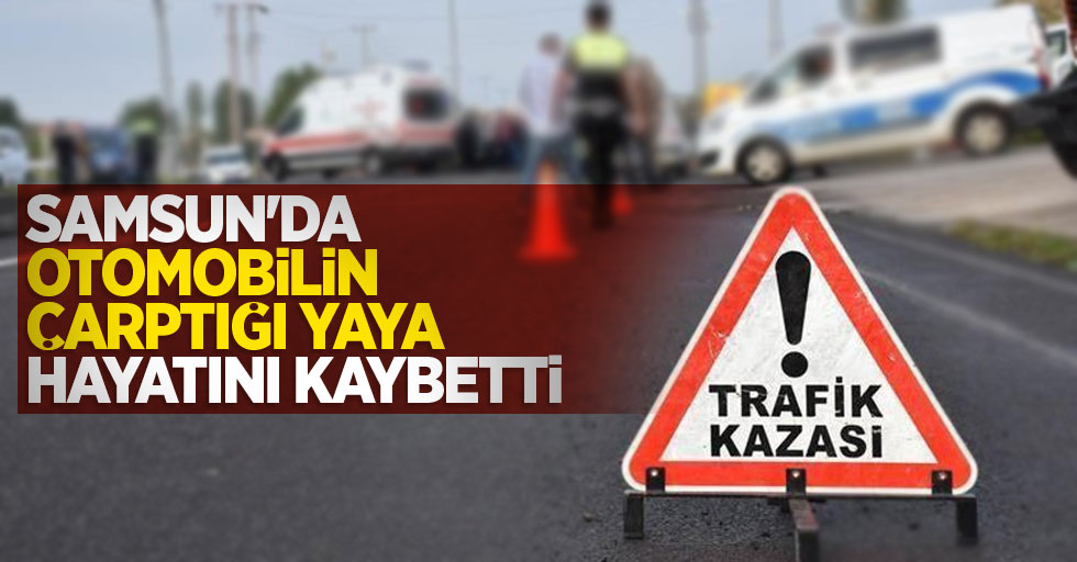 Samsun'da otomobilin çarptığı yaya hayatını kaybetti