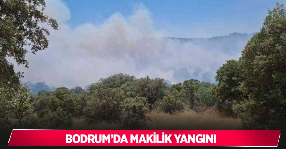 Bodrum’da makilik yangını