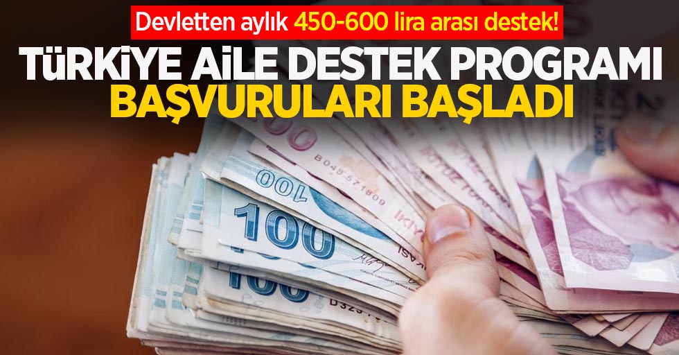 Devletten aylık 450-600 lira arası destek! Türkiye Aile Destek Programı başvuruları başladı