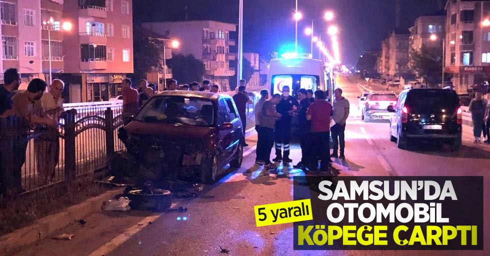 Samsun'da otomobil köpeğe çarptı: 5 yaralı