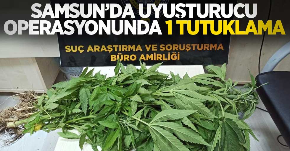 Samsun'da uyuşturucu operasyonunda 1 tutuklama