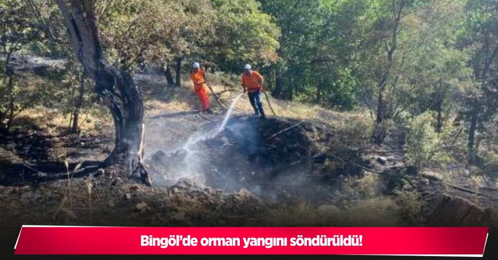 Bingöl’de orman yangını söndürüldü