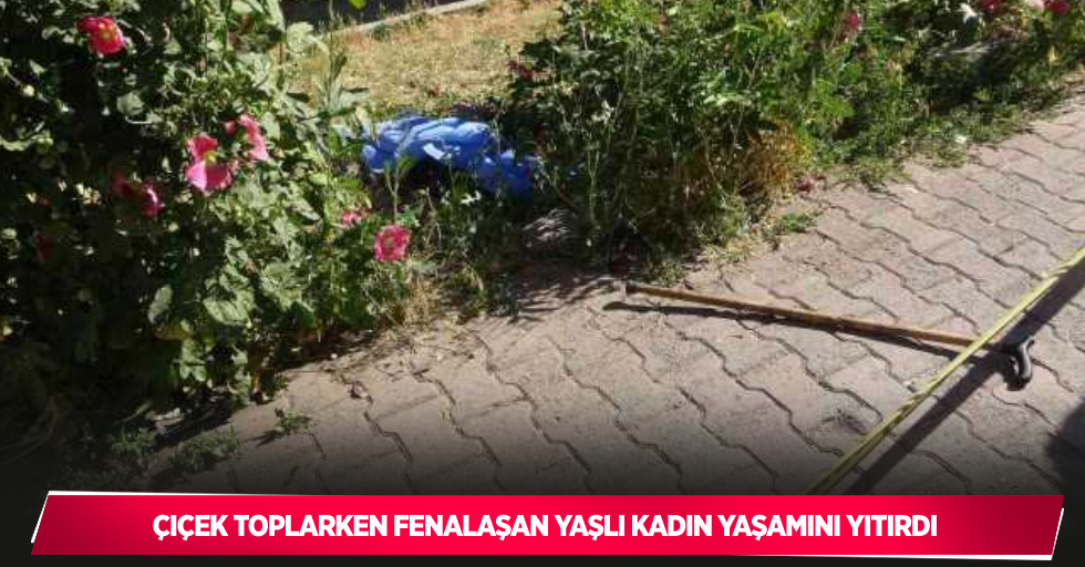 Çiçek toplarken fenalaşan yaşlı kadın yaşamını yitirdi