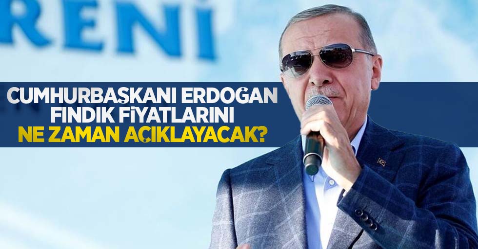 Cumhurbaşkanı Erdoğan fındık fiyatlarını ne zaman açıklayacak?
