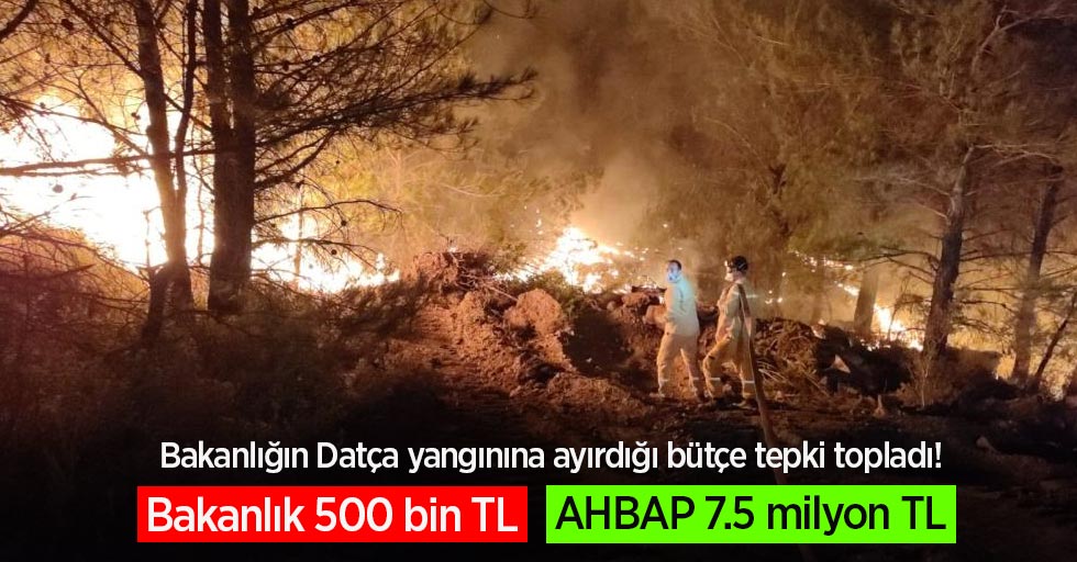 Datça yangınına ayrılan bütçe tepki topladı! Bakanlık 500 bin TL, AHBAP 7.5 milyon TL