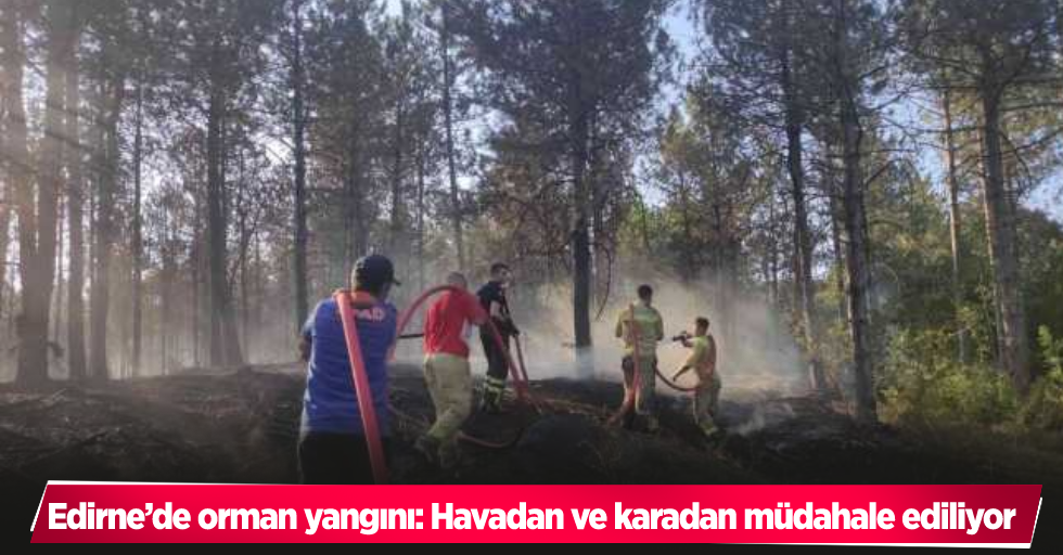 Edirne’de orman yangını: Havadan ve karadan müdahale ediliyor