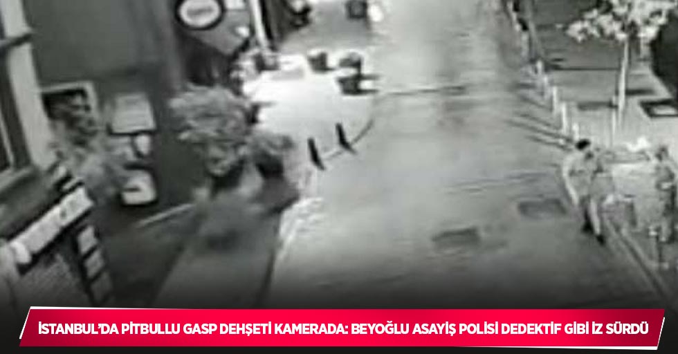 İstanbul’da pitbullu gasp dehşeti kamerada: Beyoğlu Asayiş polisi dedektif gibi iz sürdü