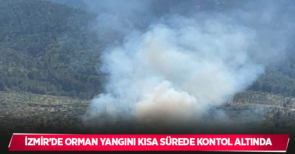 İzmir’de orman yangını kısa sürede kontrol altında