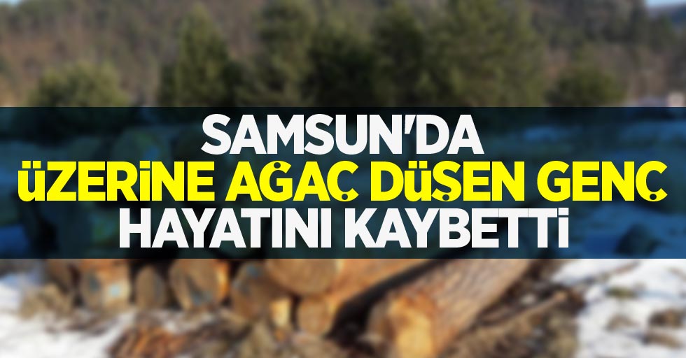 Samsun'da üzerine ağaç düşen genç hayatını kaybetti