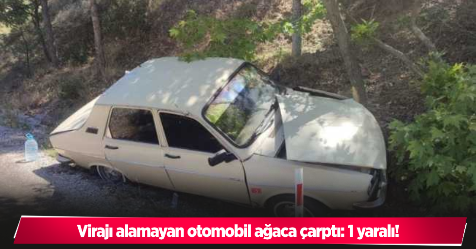 Virajı alamayan otomobil ağaca çarptı: 1 yaralı