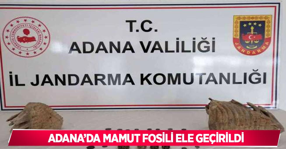Adana’da mamut fosili ele geçirildi