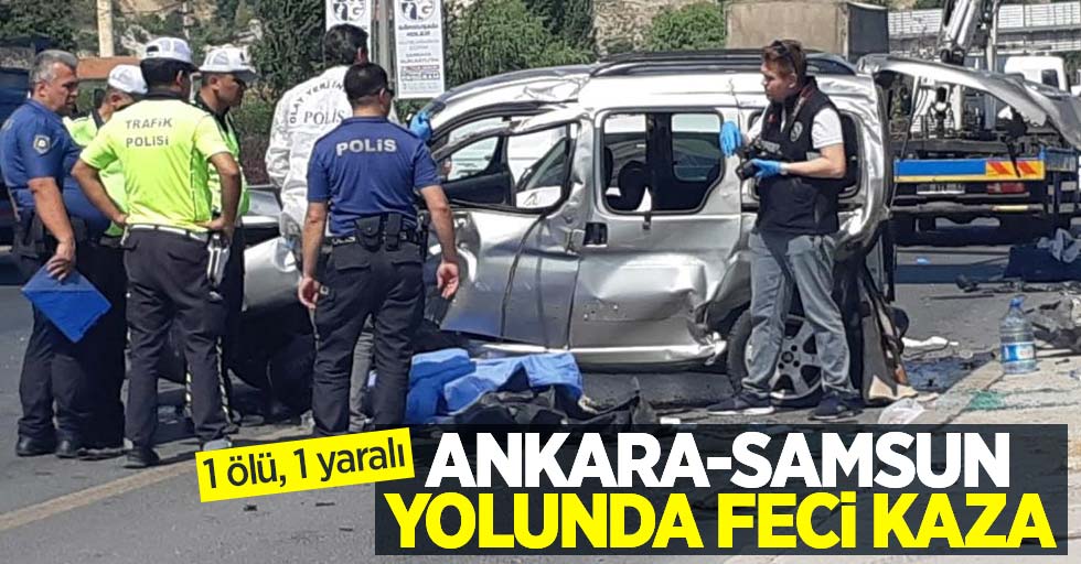 Ankara-Samsun yolunda feci kaza: 1 ölü