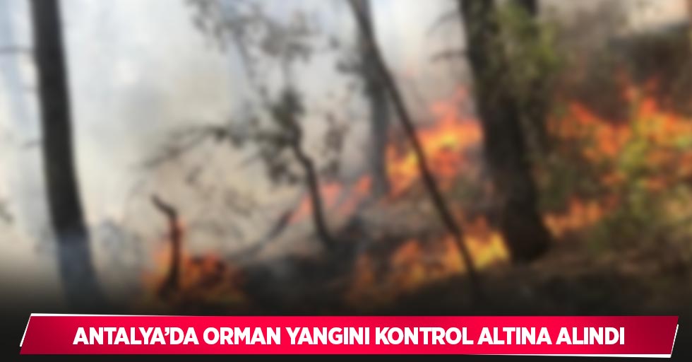 Antalya’da orman yangını kontrol altına alındı
