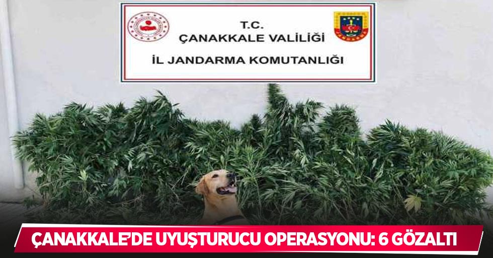 Çanakkale’de uyuşturucu operasyonu: 6 gözaltı