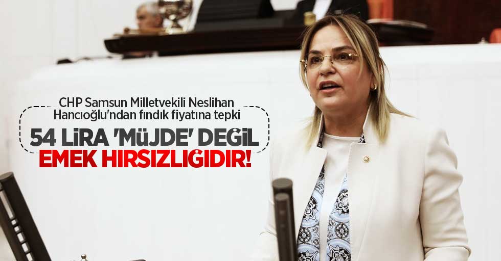 CHP Samsun Milletvekili Neslihan Hancıoğlu'ndan fındık fiyatına tepki: 54 lira 'müjde' değil, emek hırsızlığıdır!