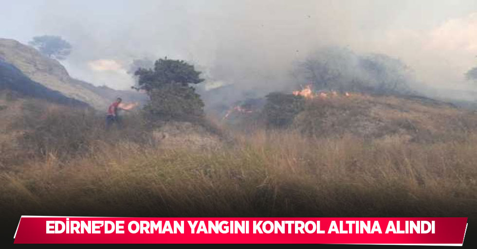 Edirne’de orman yangını kontrol altına alındı