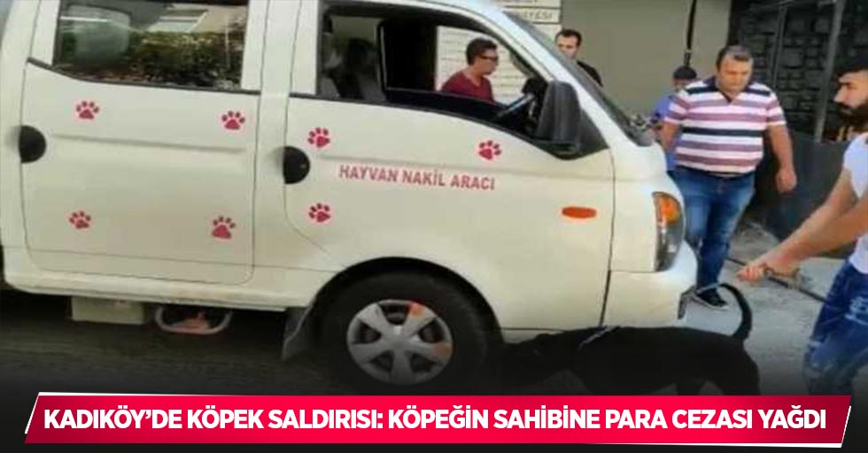 Kadıköy’de köpek saldırısı: Köpeğin sahibine para cezası yağdı