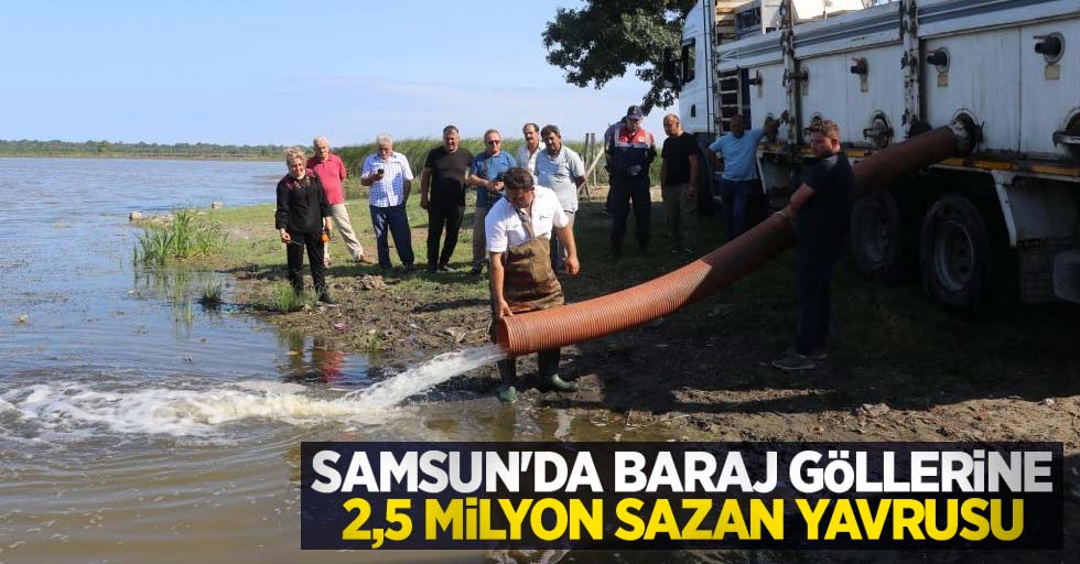 Samsun'da baraj göllerine 2,5 milyon sazan yavrusu