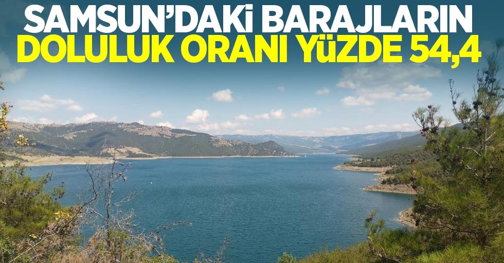 Samsun'da Barajların Doluluk Oranı Yüzde 54,4