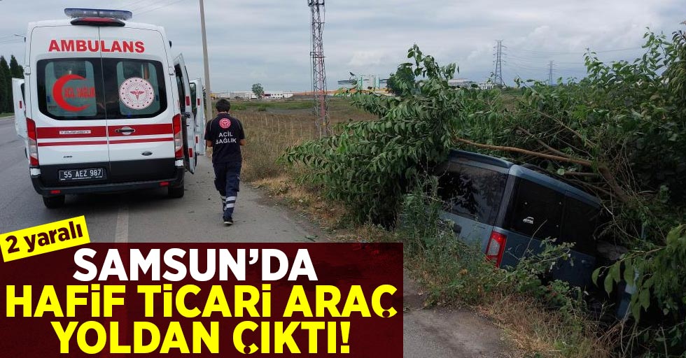Samsun'da Hafif Ticari Araç Yoldan Çıktı!