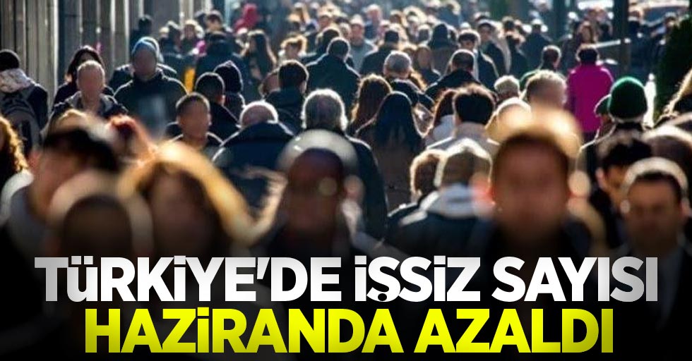 Türkiye'de işsiz sayısı haziranda azaldı