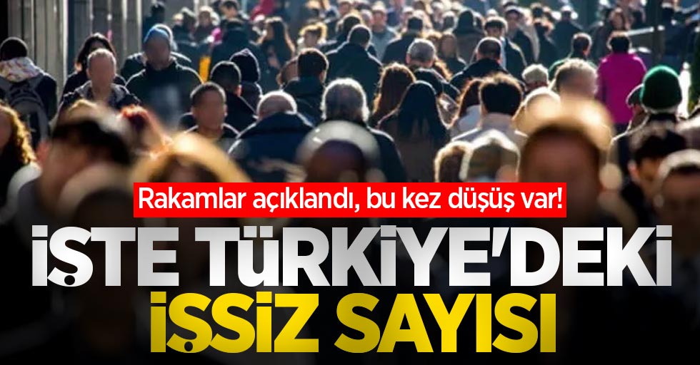 Rakamlar açıklandı, bu kez düşüş var! İşte Türkiye'deki işsiz sayısı