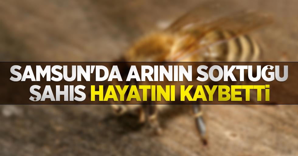 Samsun'da arının soktuğu şahıs hayatını kaybetti