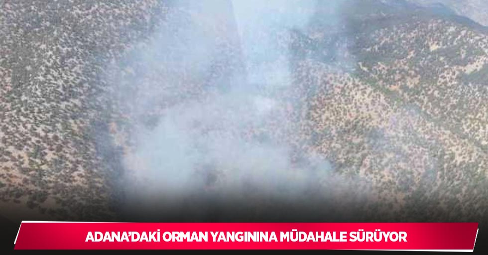 Adana’daki orman yangınına müdahale sürüyor