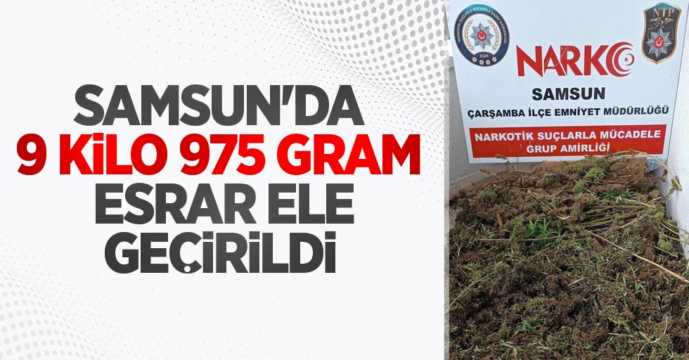 Samsun'da 9 kilo 975 gram esrar ele geçirildi: 8 gözaltı