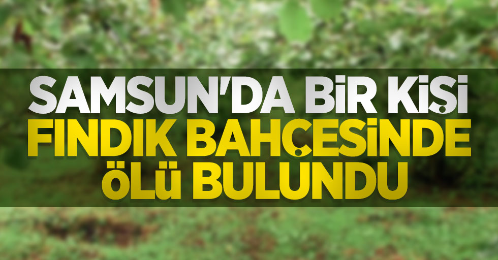 Samsun'da bir kişi fındık bahçesinde ölü bulundu