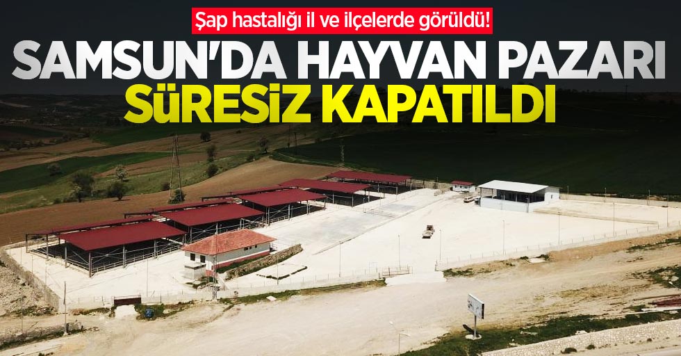Şap hastalığı il ve ilçelerde görüldü! Samsun'da hayvan pazarı süresiz kapatıldı