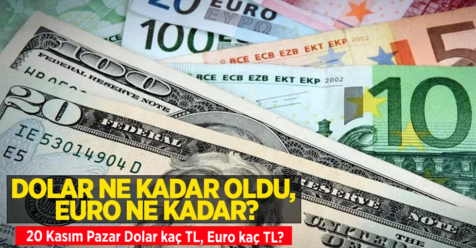 20 Kasım Pazar dolar ne kadar oldu, euro ne kadar? 20 Kasım Pazar dolar kaç TL, euro kaç TL?