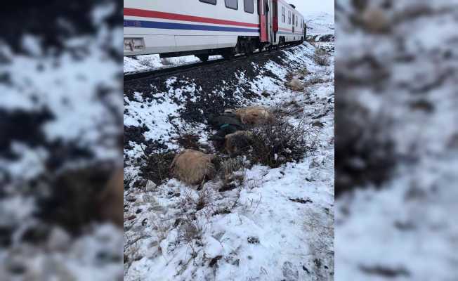 Erzincan’da trenin çarptığı çoban öldü
