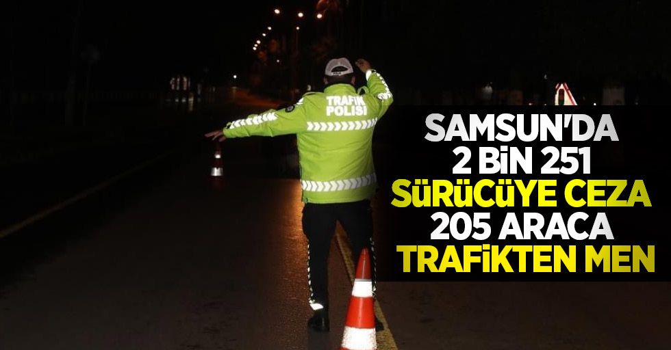 Samsun'da 2 bin 251 sürücüye ceza, 205 araca trafikten men