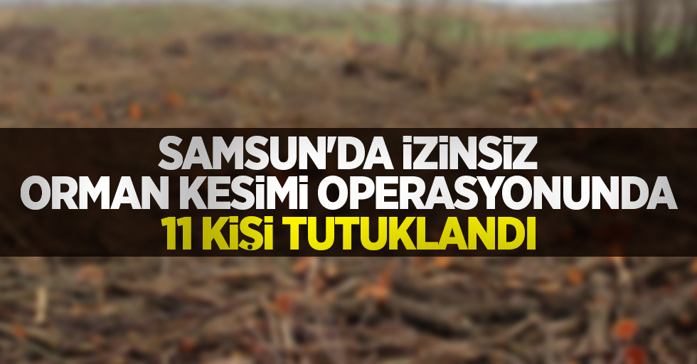 Samsun'da izinsiz orman kesimi operasyonunda 11 kişi tutuklandı