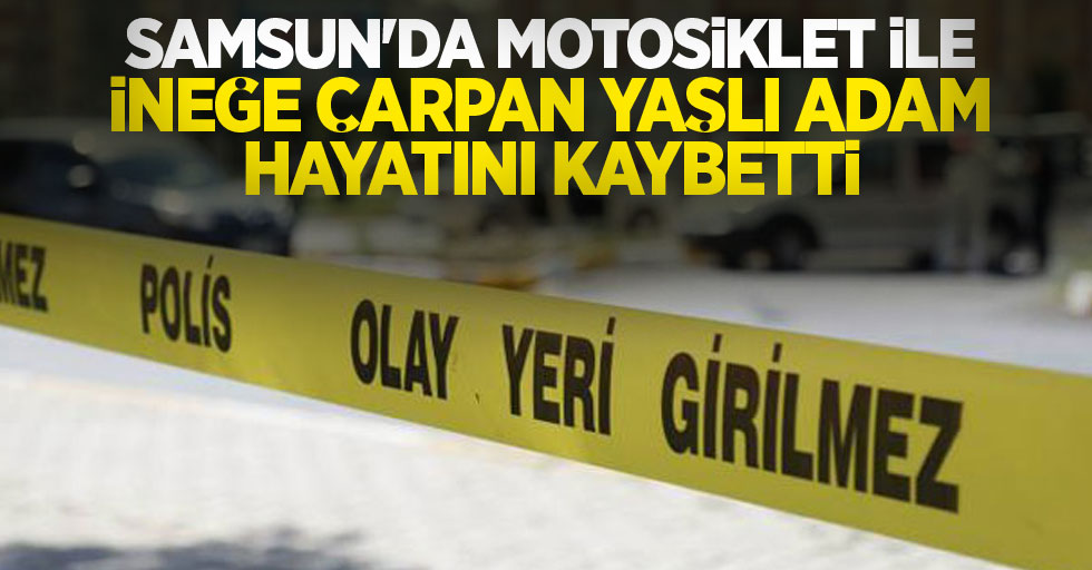 Samsun'da motosiklet ile ineğe çarpan yaşlı adam hayatını kaybetti