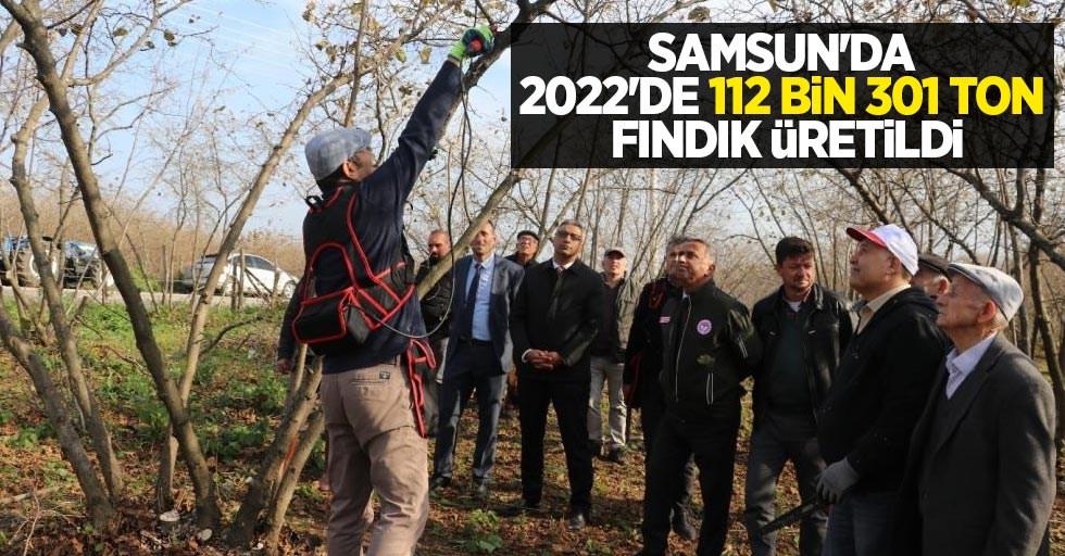 Samsun’da 2022’de 112 bin 301 ton fındık üretildi