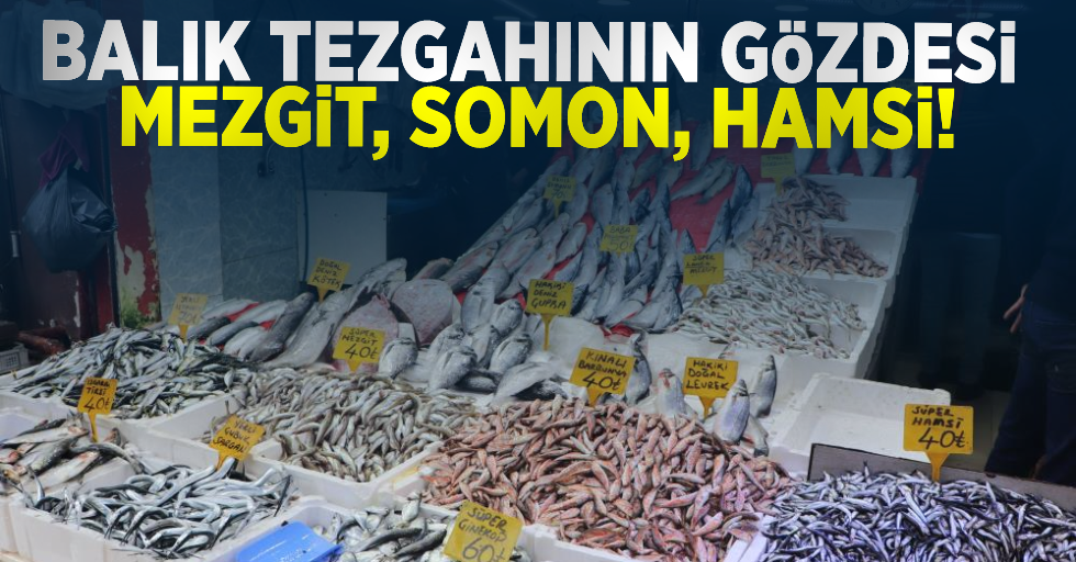 Balık Tezgahlarının Gözdesi Mezgit, Somon ve Hamsi!