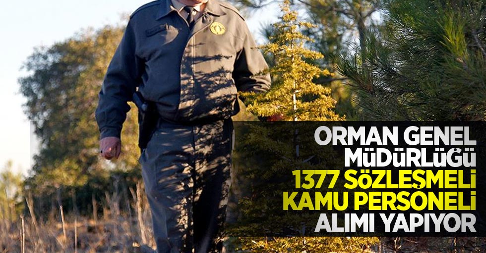 Orman Genel Müdürlüğü 1377 sözleşmeli kamu personeli alımı yapıyor
